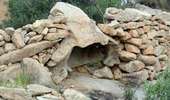 Trail Walking Calvi - Citadelle Calvi - Village - Notre dame de la Serra - Photo 5