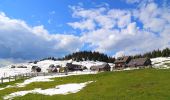 Randonnée A pied Gemeinde Neuberg an der Mürz - Scheiterboden-Hinteralm - Photo 2