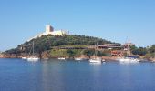 Excursión Senderismo Osani - Girolata Curzu - Photo 9