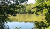 Tour Wandern Méré - Méré Montfort l'Amaury-St. Léger en Yvelines  - Photo 6