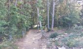 Trail Walking Hauteroche - RECULEE DE BAUME-LES-MESSIEURS  - Photo 3