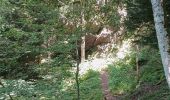 Tour Wandern Wegscheid - FucksfelsenBelacker - Photo 6