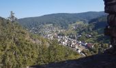 Trail Walking Schramberg - Schramberg - Châteaux de Falkenstein et de Hohenschramberg - Photo 20