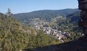 Tocht Stappen Schramberg - Schramberg - Châteaux de Falkenstein et de Hohenschramberg - Photo 20