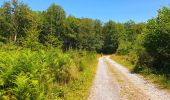 Trail Walking Gedinne - Balade à Bourseigne-Neuve - Gedinne - Photo 11