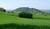 Percorso A piedi Bensheim - Rundwanderweg Bensheim 4: Gronau-Weg - Photo 8