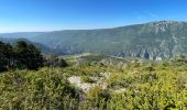 Tocht Stappen La Palud-sur-Verdon - La palud sur Verdon - Photo 4