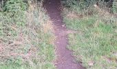 Trail Walking Dinant - freyr 1er aoÃ»t  - Photo 4