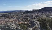 Excursión Senderismo La Crau - Chapelle du Fenouillet & Château de Hyères - Photo 6