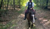 Trail Horseback riding Habay - Tucker avec les dadous 1ère fois - Photo 6