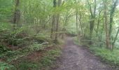 Trail Walking Esneux - pré de tilff . bois du manant.  bois des chevreuils  . pré  de tilff - Photo 9