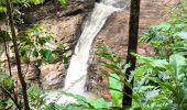 Tour Wandern Petit-Bourg - Guadeloupe - Saut de la Lézarde - Photo 7