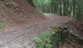 Randonnée Marche La Bourboule - Charlannes par Fohet retour sur parc fenestre par descente sous ancien funiculaire 2019-07-02 - Photo 5