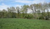 Randonnée Marche Ry - 20240423-ry-martin-ville-epreville - Photo 1