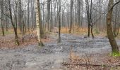 Trail Walking Houppeville - foret monumental - Photo 2