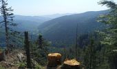 Tour Wandern Stoßweier - Sentier des roches, hohneck, schiessrothried - Photo 11