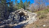 Tour Wandern Séderon - Du Sommet du Négron au Sommet de Larran - Photo 3