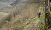 Excursión Marcha nórdica Vianden - Gr5 E2 de  Vianden à Dasbourg Pont - Photo 10