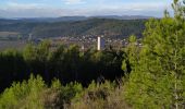 Randonnée Marche Taradeau - taradeau l'oppidum - Photo 13