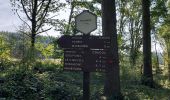 Tour Wandern Nassogne - Nassogne 070921 - Photo 3