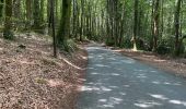 Trail Walking Lacrouzette - Sidobre - Photo 2