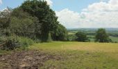 Percorso A piedi Teignbridge - Tedbury Circular Walk - Photo 3