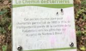 Randonnée Marche Blain - 13.08.2019 - Autour de ST OMER DE BLAIN - Photo 9