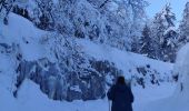 Tocht Sneeuwschoenen Autrans-Méaudre en Vercors - La cheminée  - Photo 4
