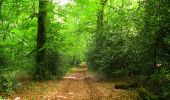 Trail Walking Coyolles - en forêt de Retz_78_les rayons du Rond Capitaine - Photo 11