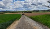 Randonnée Marche Anthisnes - Anthines - Comblain-au-Pont - Photo 6