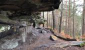 Tocht Te voet Arbonne-la-Forêt - 3 pignons : Boucle de la canche aux merciers - Photo 1