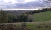 Tocht Stappen Chaudfontaine - via bois des dames et bois de la rochette  - Photo 14