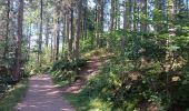 Tocht Stappen Bütgenbach - butgenbach sous 34° - Photo 11