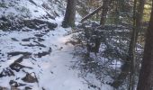 Trail Walking Fontaine - Coup de Sabre - Moucherotte - Ferme Durand - Parc Karl Marx - Photo 1