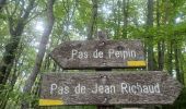 Excursión Senderismo Peipin - PEIPIN . PAR LES CHEMINS ABANDONNÉS DE PEIPIN  O L S  - Photo 9