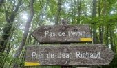 Randonnée Marche Peipin - PEIPIN . PAR LES CHEMINS ABANDONNÉS DE PEIPIN  O L S  - Photo 9