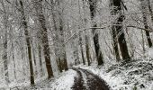 Percorso Marcia Gerpinnes - Hymiée sous la neige  - Photo 4