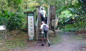 Trail Walking Saint-Joseph - Boucle Coeur Bouliki - Forêt Rabuchon - Photo 16