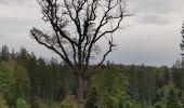 Excursión Bici de montaña Verviers - VAE Stembert Gileppe Mariehomont - Photo 11