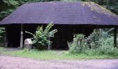 Tocht Te voet Onbekend - Rundwanderweg Blockhaus 2: Rindenhäusle-Weg - Photo 8