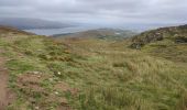 Excursión Senderismo West Cork - Bere Island - Photo 8