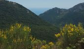 Randonnée Marche Sainte-Agnès - Mont Ours - Photo 2