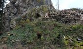 Randonnée Marche Breitenbach - Col de la Charbonnière -Château de la Roche - Photo 2