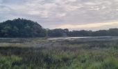 Tocht Stappen Bénodet - Tour de Benodet - Photo 8