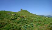 Trail Walking Laveissière - Cantal - Cheyrouze (Laveissière) - Puy de Seycheuse - 14.8km 600m 5h35 - 2019 06 30 - Photo 5