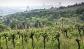 Tour Zu Fuß Unbekannt - Kahlenbergerdorfer Weinrundwanderweg - Photo 7