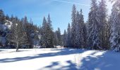 Tour Wandern Saint-Agnan-en-Vercors - Les Hauts Plateaux du Vercors - Photo 2