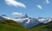Tocht Te voet Grindelwald - Bachalpsee - Oberläger - Faulhorn - Photo 9