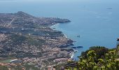 Randonnée Marche Câmara de Lobos - Levada de Norte depuis le promontoire du Cabo Girao (Rother n°5)  - Photo 3