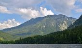 Tour Zu Fuß Lunz am See - Lunz am See - Maierhöfen und weiter - Photo 4